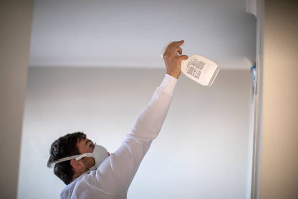 Best Water Damage Restoration  in Fallston, MD