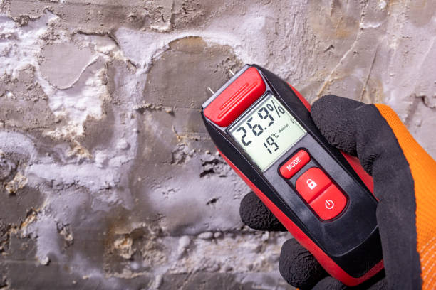 Best Water Damage Restoration  in Fallston, MD