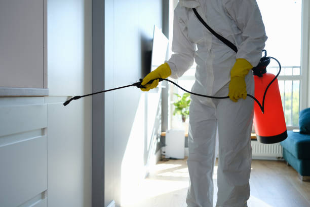 Best Affordable Mold Removal  in Fallston, MD