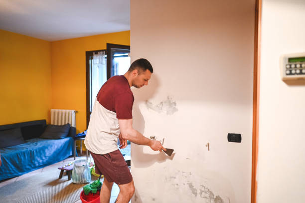 Best Mold Damage Repair  in Fallston, MD